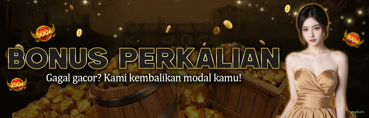 pvbet multi dispositivo